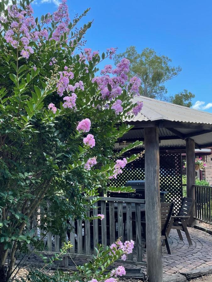 Crows Nest Motel Motel Crows Nest