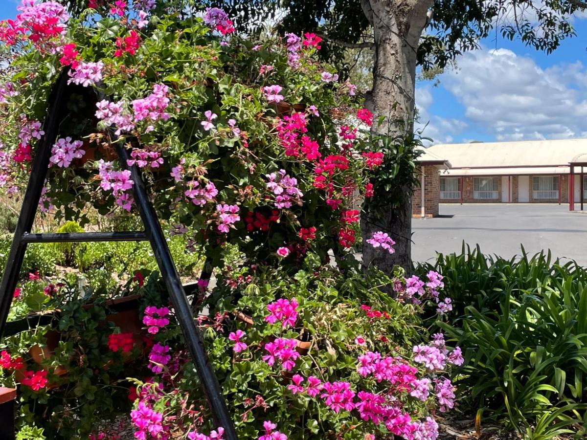Crows Nest Motel Motel 4*